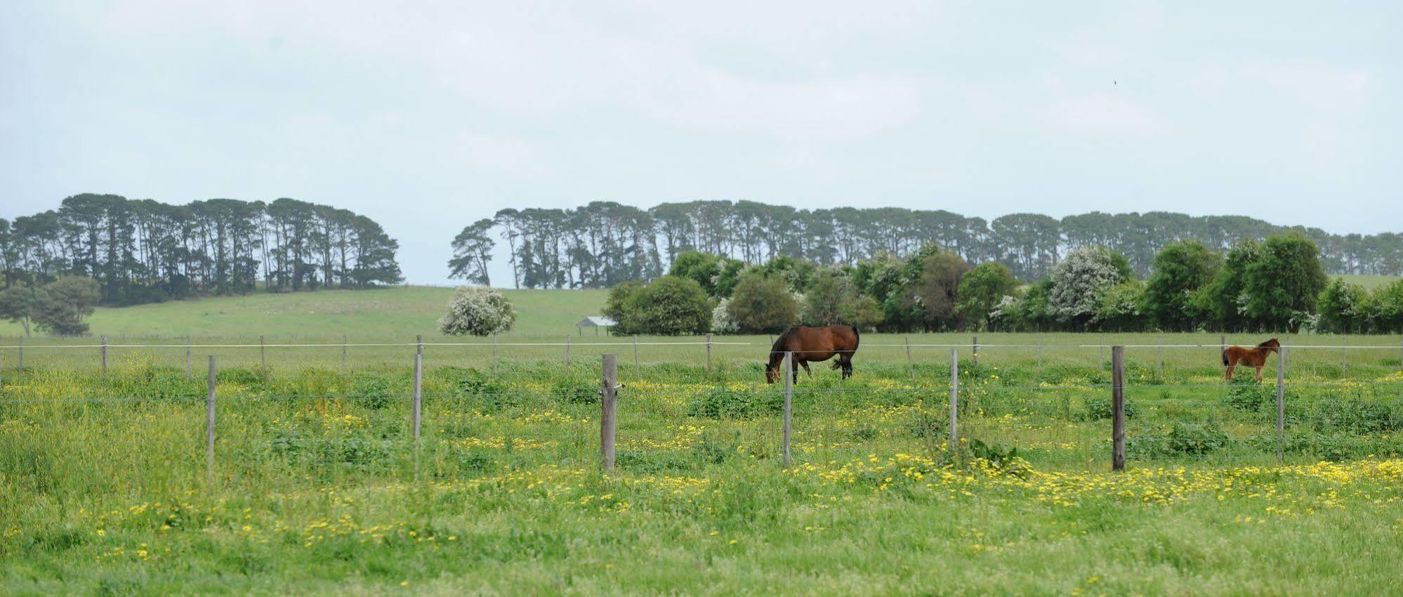 The Barn Accommodation Mount Gambier Bagian luar foto